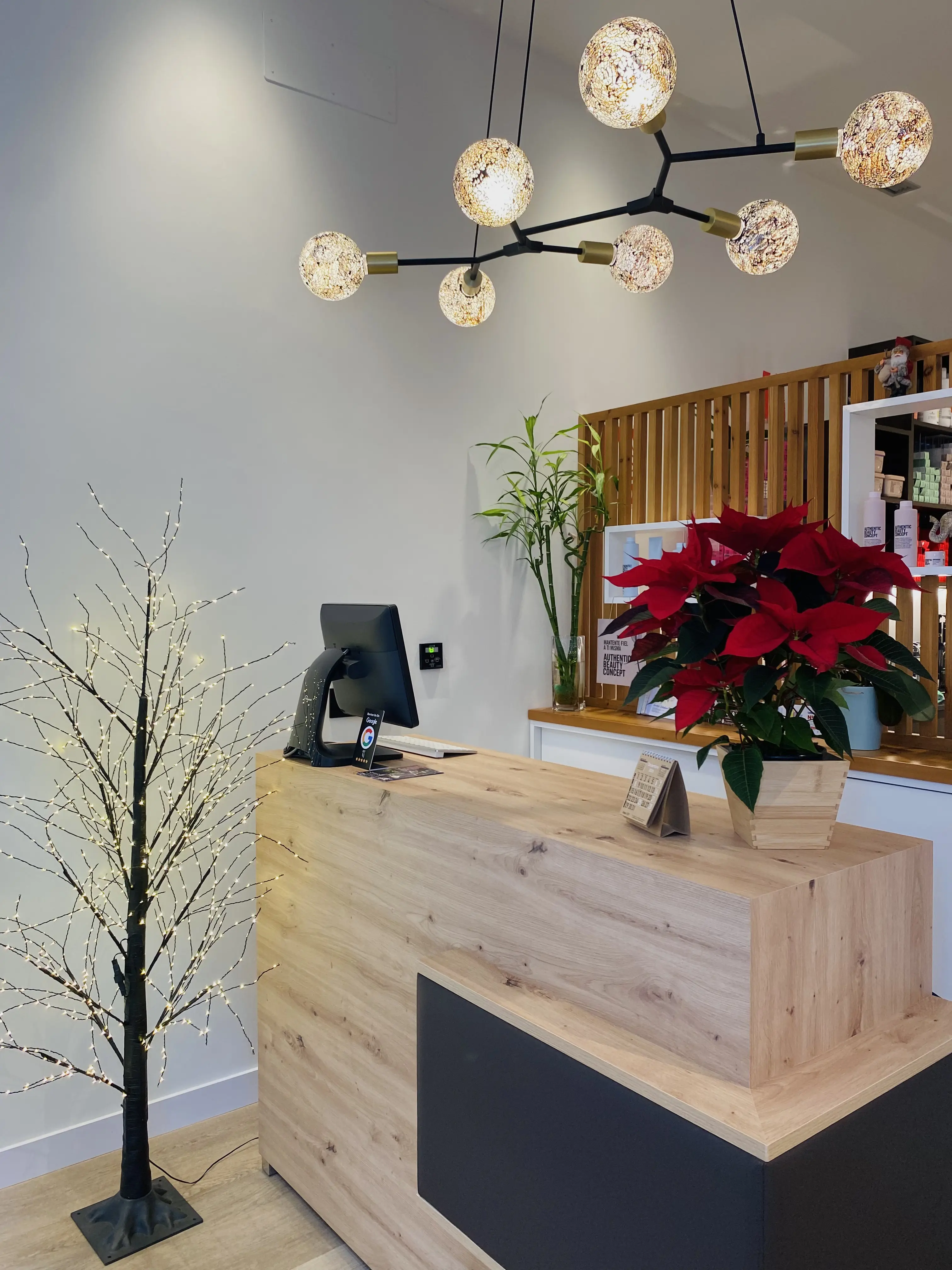 Trabajos de peluquería y estética realizados en Mimu's Estilistas